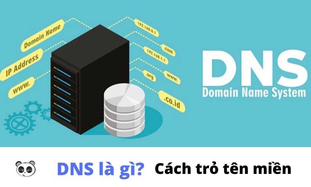 dns-la-gi